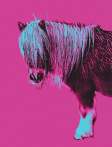 american-miniature-horse-v6.png