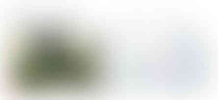 Screenshot 2025-10-17 081642
