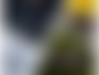 Evallic expands into SATCOM and welcomes Requtech