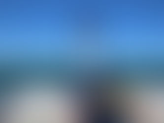 Elbit Systems subsidiary in Canada awarded a contract to supply underwater sound system to South Kor