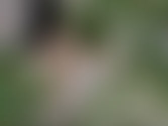 Airbus expands its Earth observation constellation with Pléiades Neo Next