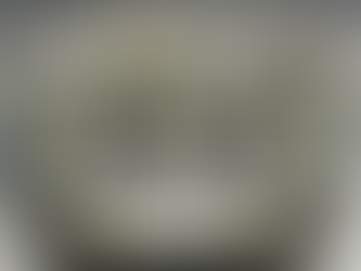 VSTEP and Damen sign cooperation agreement for Royal Bahamas Defence Force project