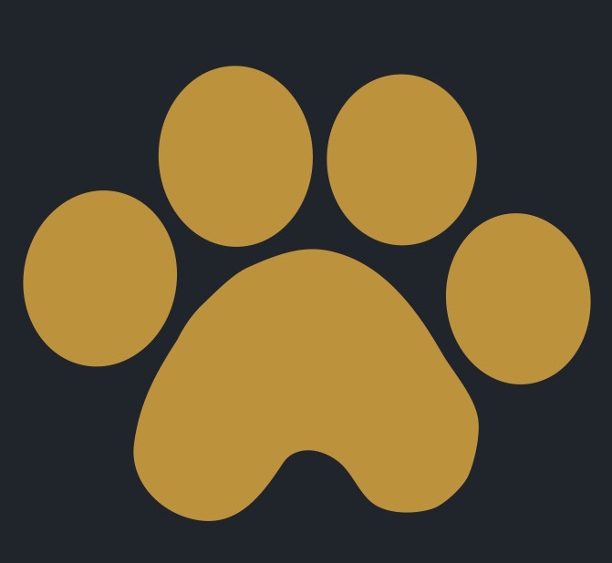 Veterinary Hospital | Foxboro, MA | Foxboro Animal Hospital Veterinary Hospital | Foxboro, MA | Foxboro Animal Hospital