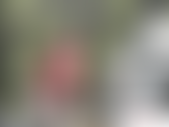 towerCast deploys ENENSYS' OneBeamDVB-SIS technology for UHD DTT broadcasting