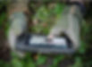 German Army expand digital C2 to all levels - with SitaWare Edge