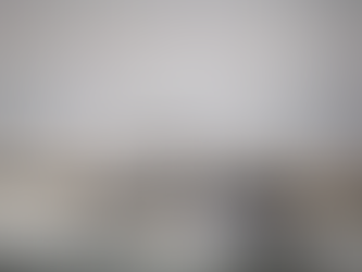 Elbit Systems’ Seagull wins the Maritime Award: “KNVTS Ship of the Year 2017”