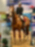 IMG_8246.jpeg