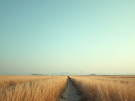 Building Leadership Clarity for Impactful Change