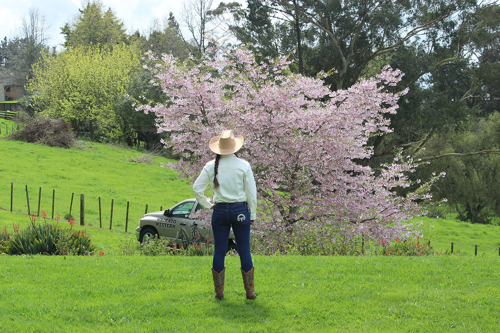 Thumbnail: Women's Classic Dress Shirt