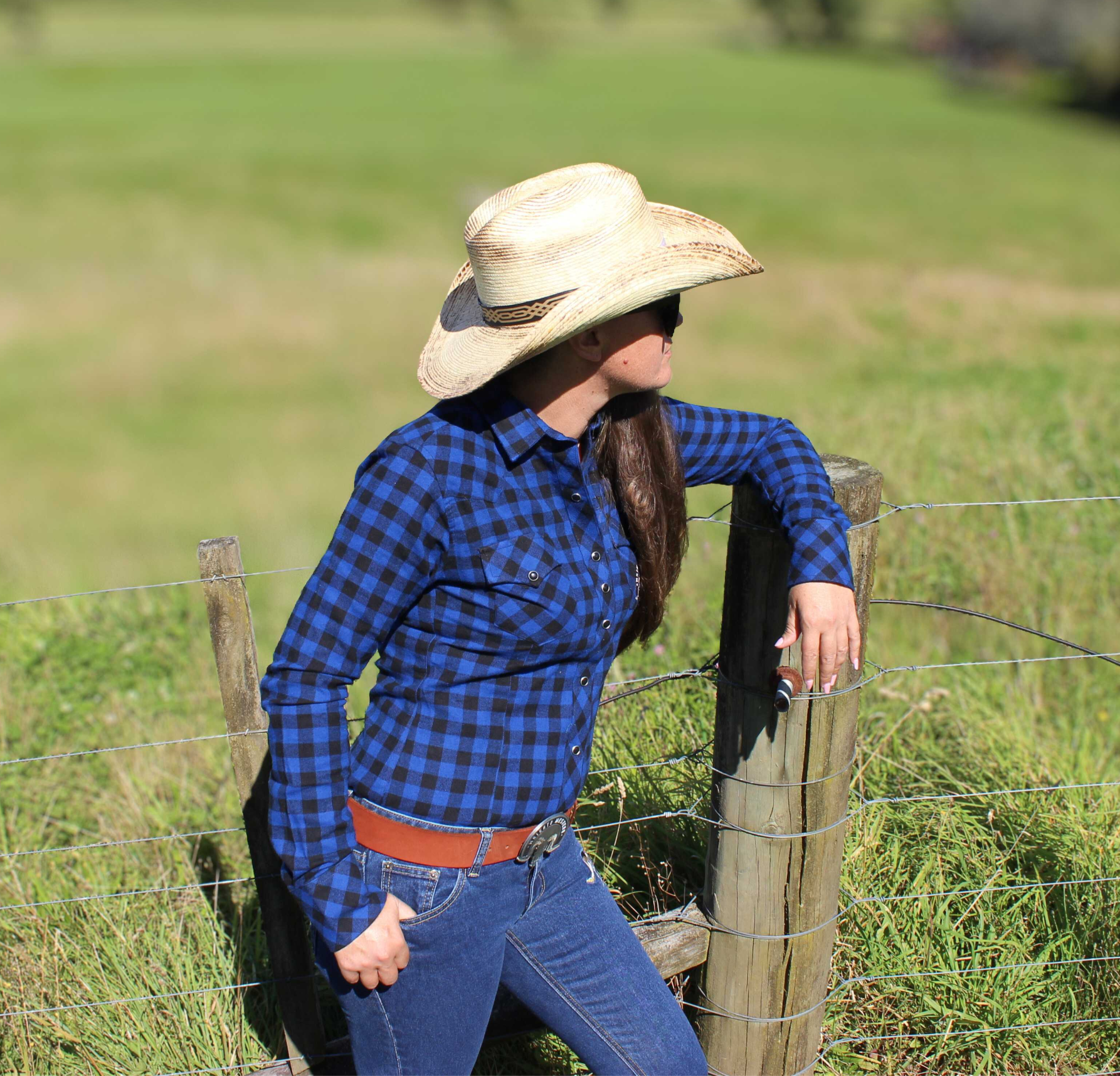 Aluminum Beverage Can   