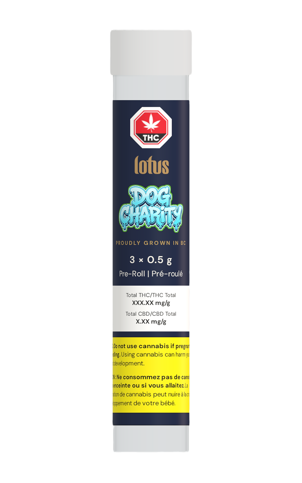 dog-charity_edited.png
