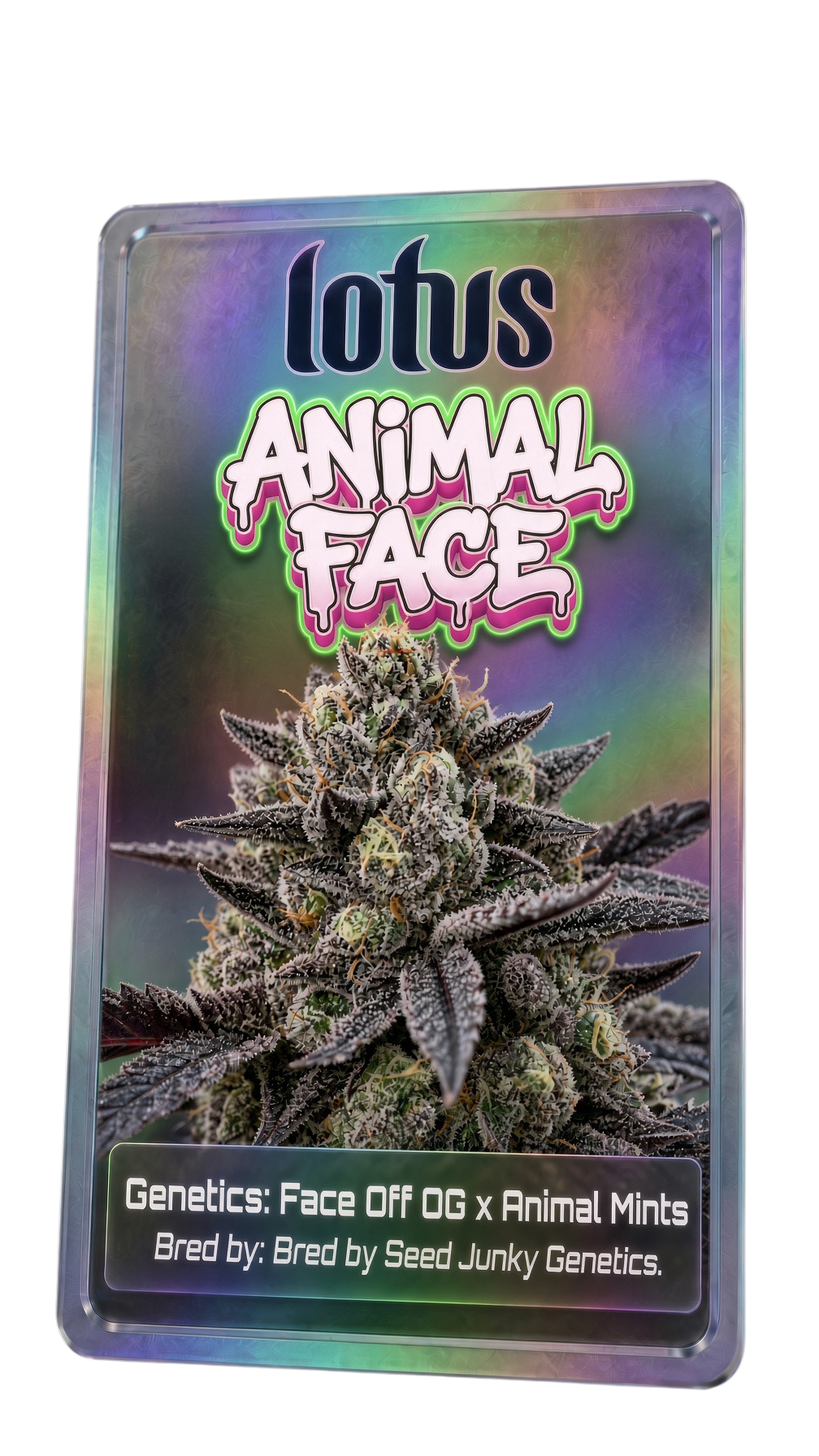 animal-face-lotus_edited.png