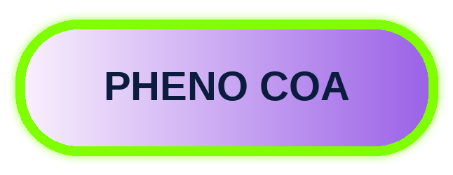 old-soul (1).png