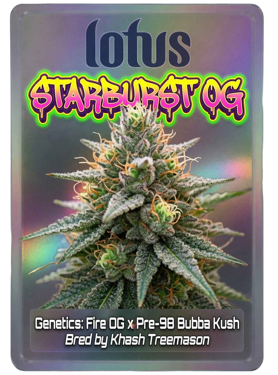 front-starburst-og_edited_edited_edited.png