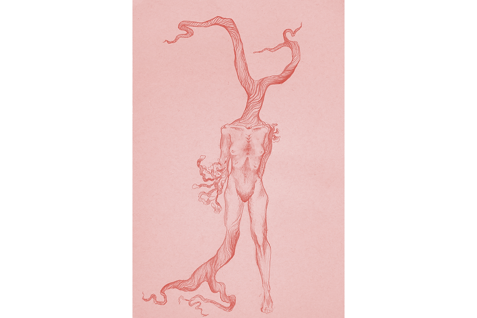 Thumbnail: Daphne Starved in Her Stillness — Fine Art Print
