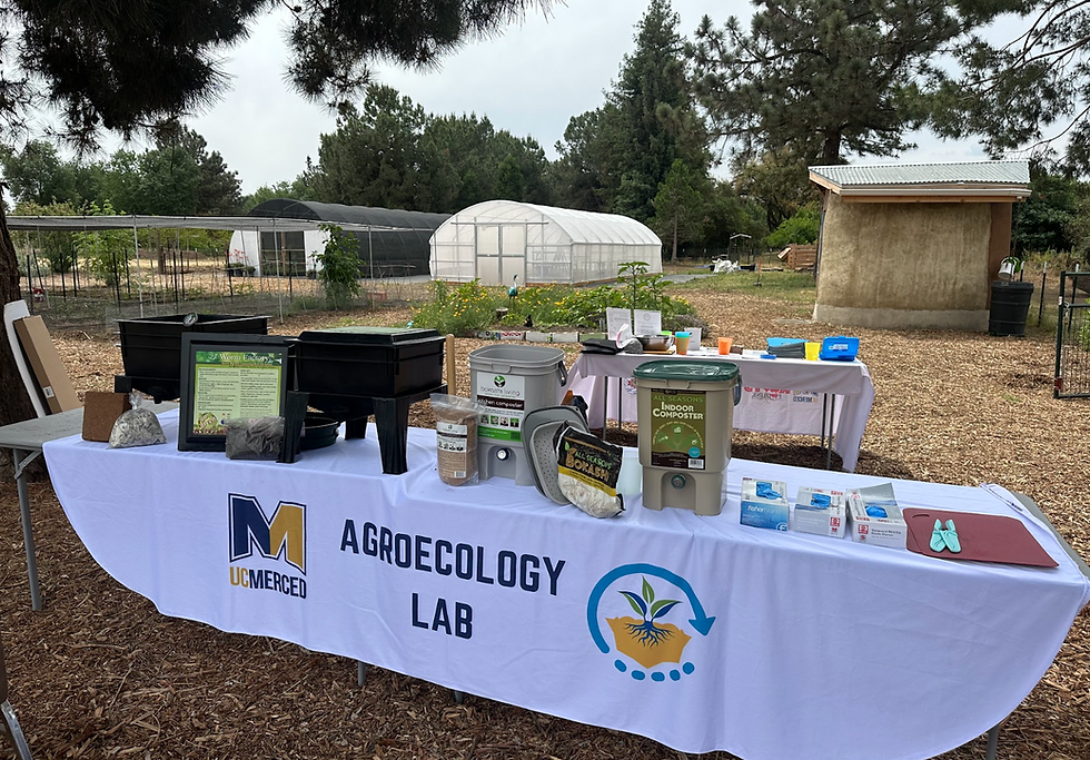 Composting workshop 101