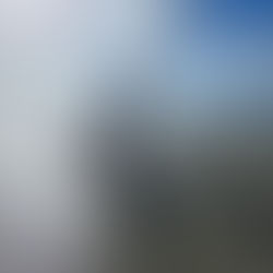 Monday IINspiration: Soutenir l’intention, pas le bruit