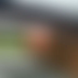 Leadership & Orientation : une aventure humaine et collective