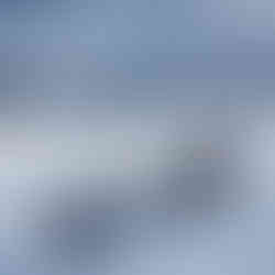 Dog sledding adventure