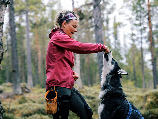 Husky in a forest while maintaining balance and controlled posture during a flexibility exercise.
