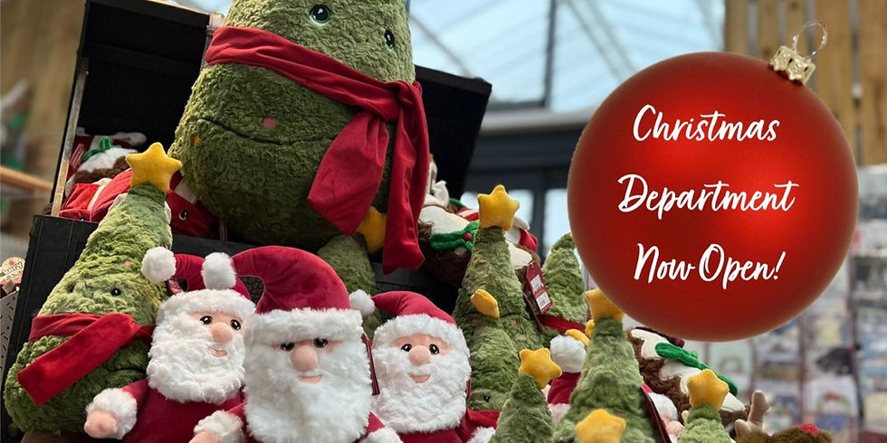 Christmas Dept now open!