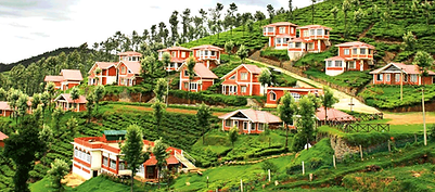 ooty 1.png