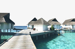s12.jpg