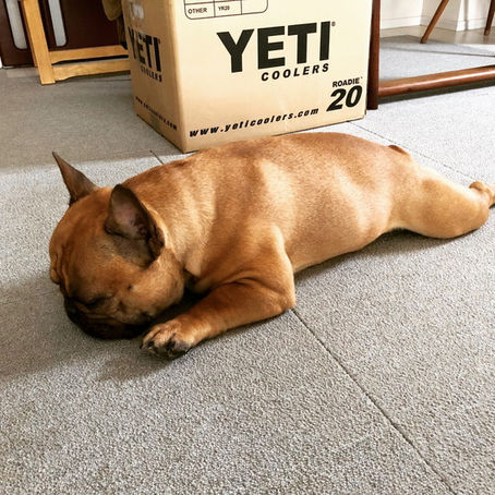 フレブルについて