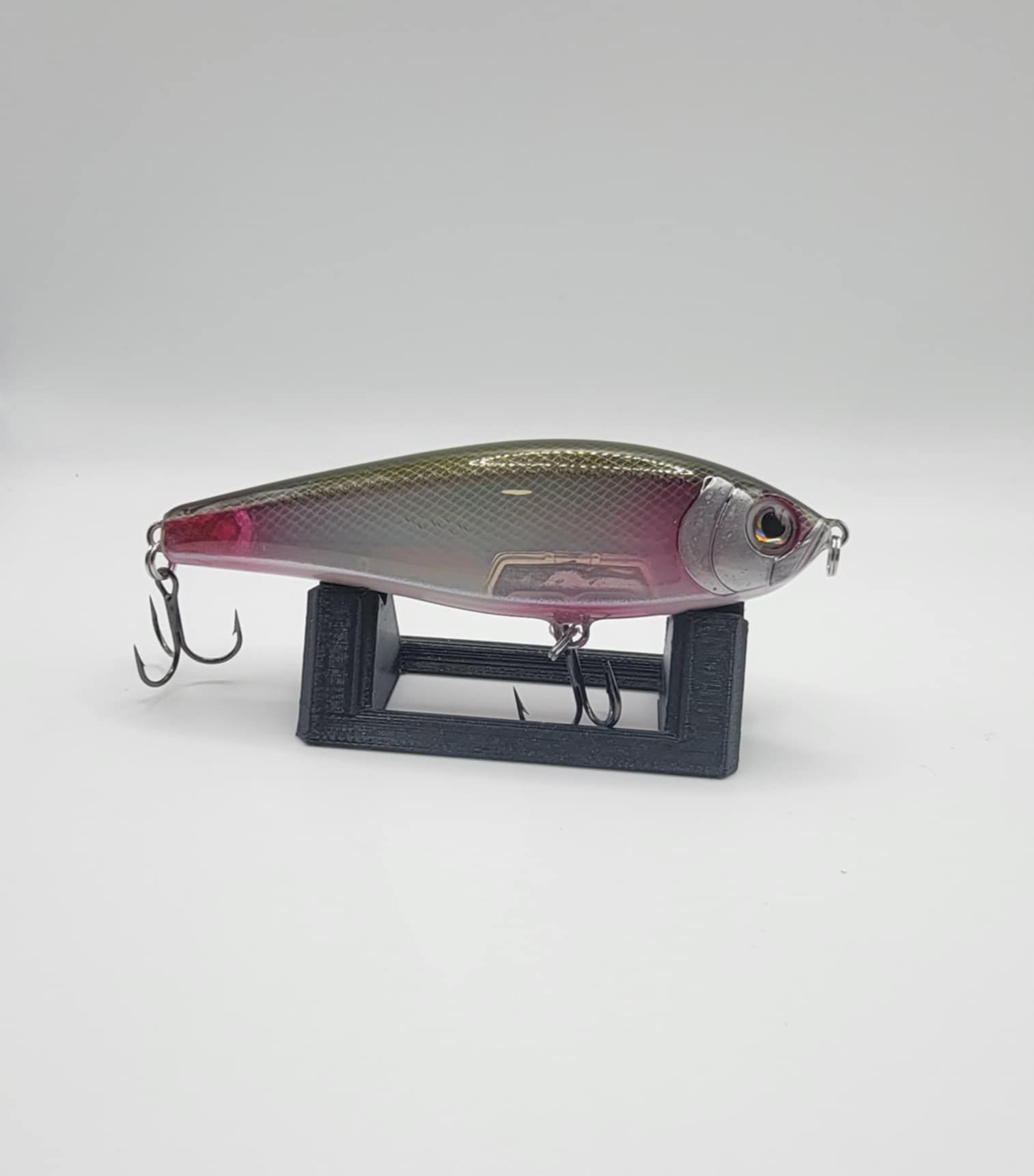 Red Finned Shiner Jerk