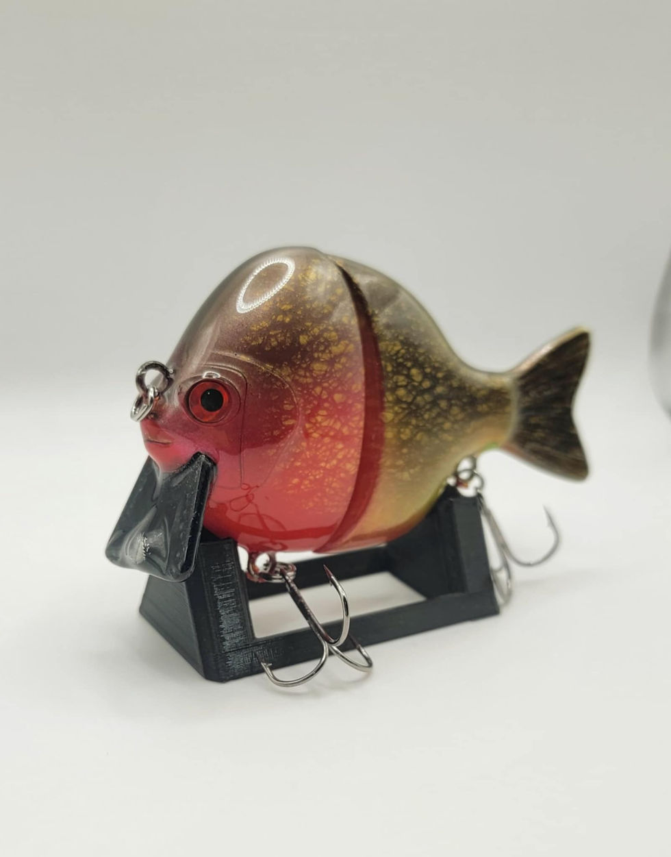 Thumbnail: Red Belly Piranha