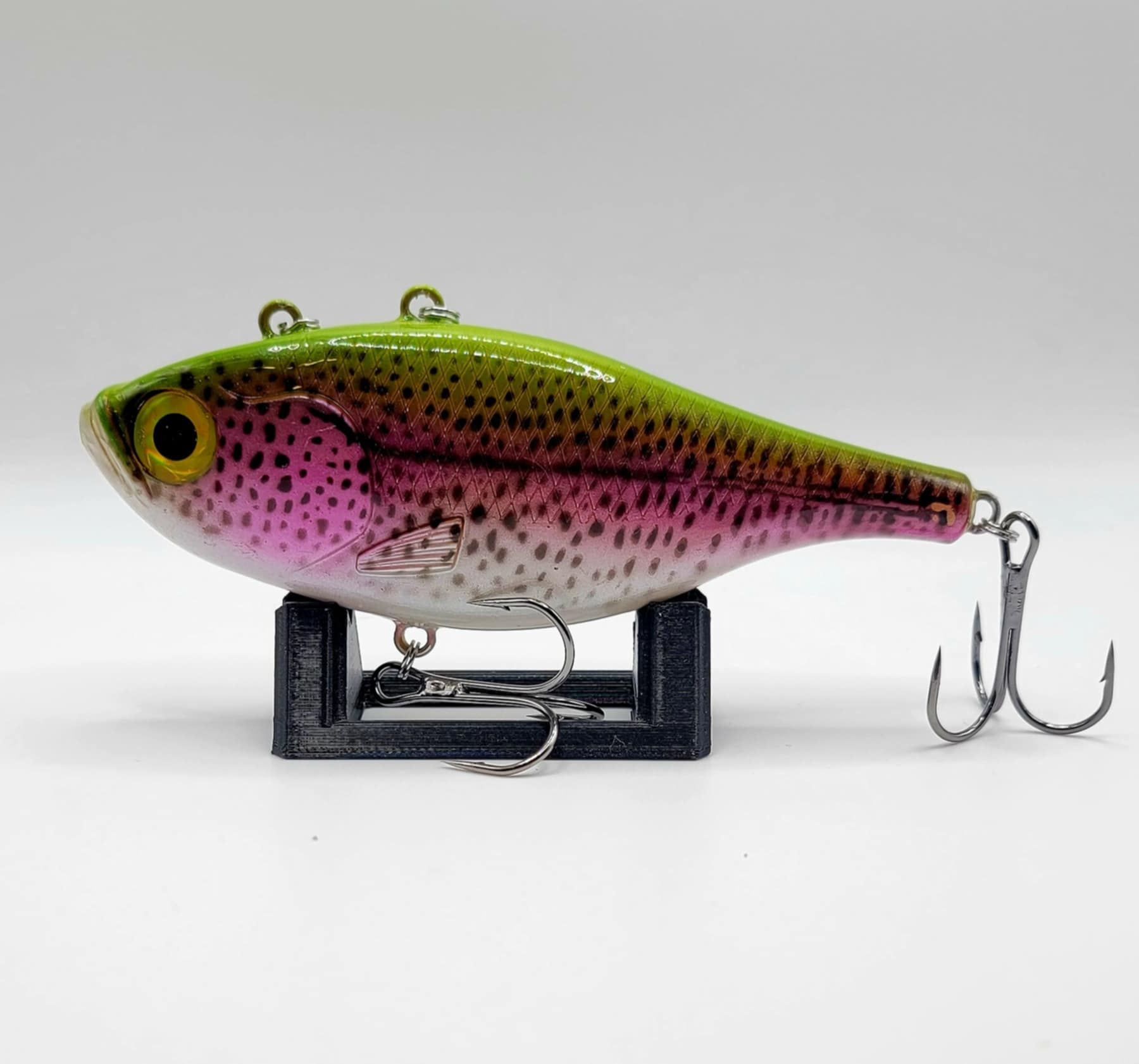 XL Rainbow Trout