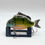 Thumbnail: Finned Bluegill
