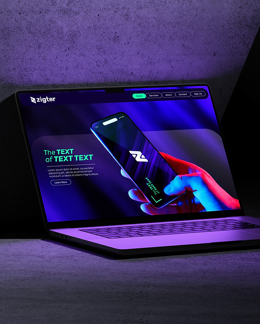 Zigter_Branding_Web-10.jpg