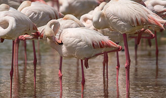 escursione nella natura