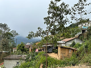 IMG_0671_edited.jpg