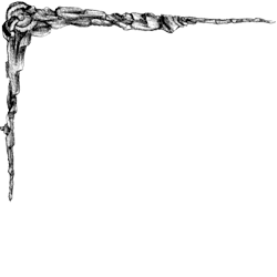 Ornements Angle A3.png