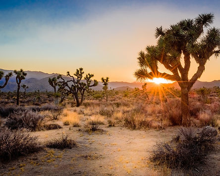 WhatsApp Image 2026-03-18 at 1.46.42 PM.jpeg