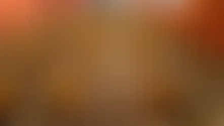 Ayam Tidak Mau Makan? Ini Penyebab dan Cara Mengatasinya Agar Nafsu Makan Kembali