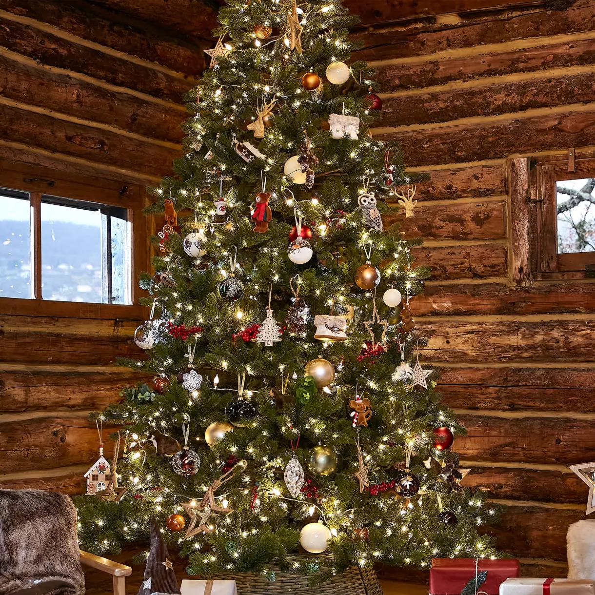 xmas tree.webp