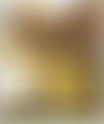 Capa do livro "Em busca de sentido"