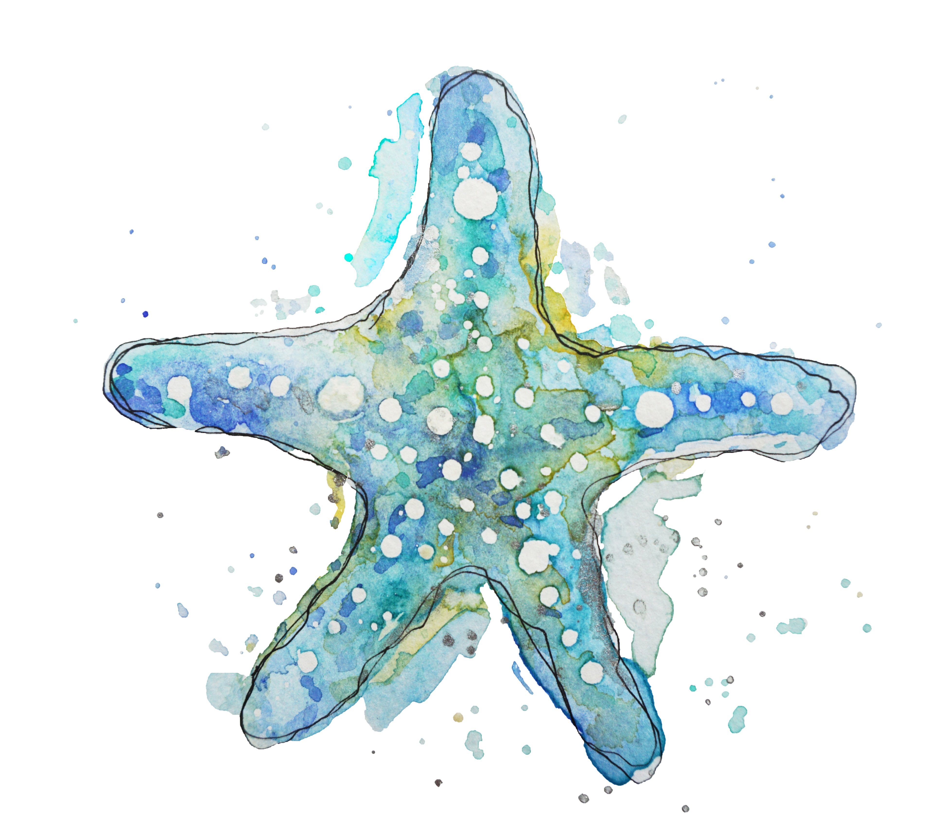 Writer: Amy | Little Splash