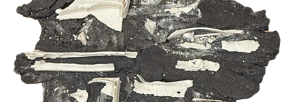 d38381df37bc436d9932862c9a6d9673_edited_edited_edited.png