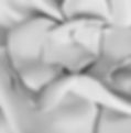 Pink Flower Petals_edited.jpg