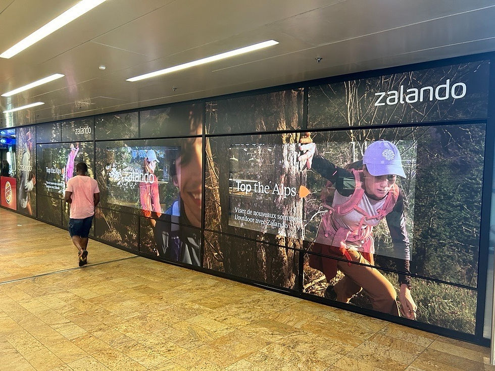 WhatsApp Image 2024-08-21 at 10.16.26 (2).jpeg