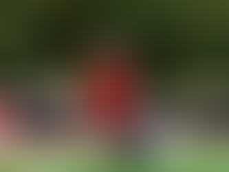 quarterback training