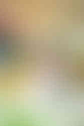 a couple dressed in a white dress and a grey suit share a kiss in a white gazebo. They are surrounded by flowers and potted plants in hanging flower pots.