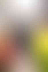 an engaged couple walks along a sidewalk downtown with their dog, they smile happily at each other