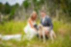 Bride and groom pose by their white curly haired dog in front of the trees at Kohler Andrae state park