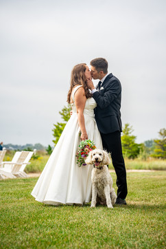 Bride and groom kiss while their white poodle dog poses at their feet looking at the camera