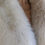 Thumbnail: closeup of cream fox fur collar